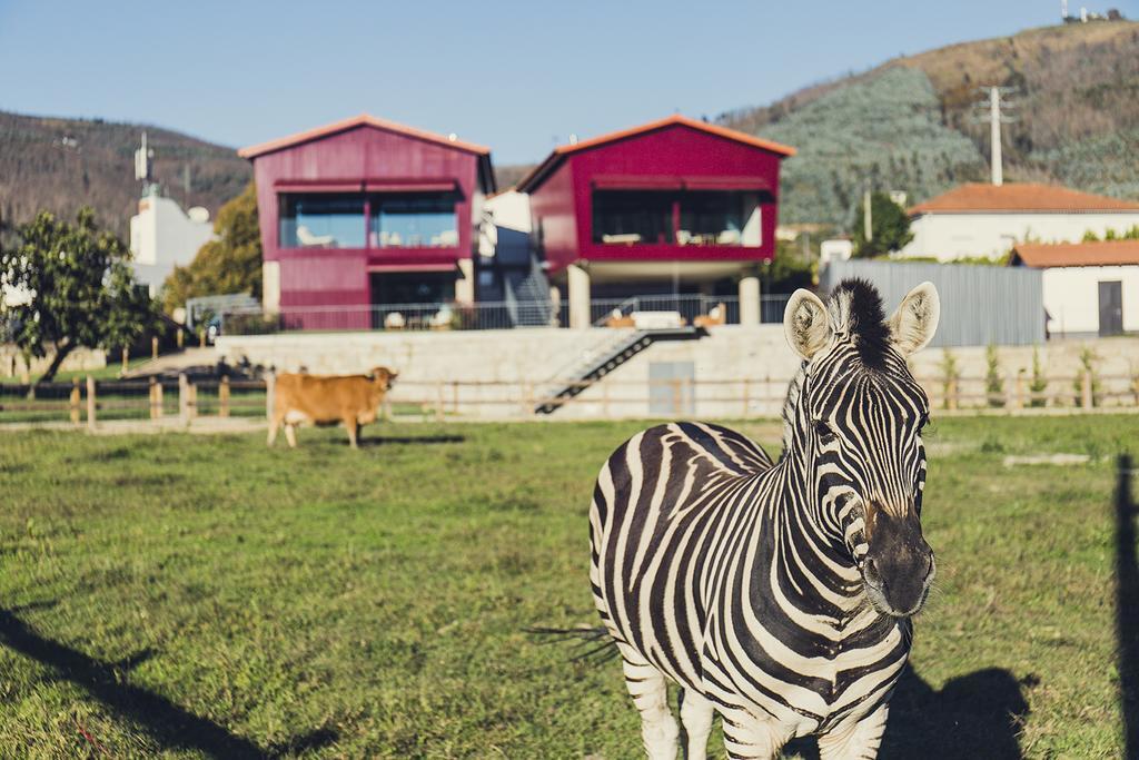 Quintas Farm Houses Arouca Ngoại thất bức ảnh
